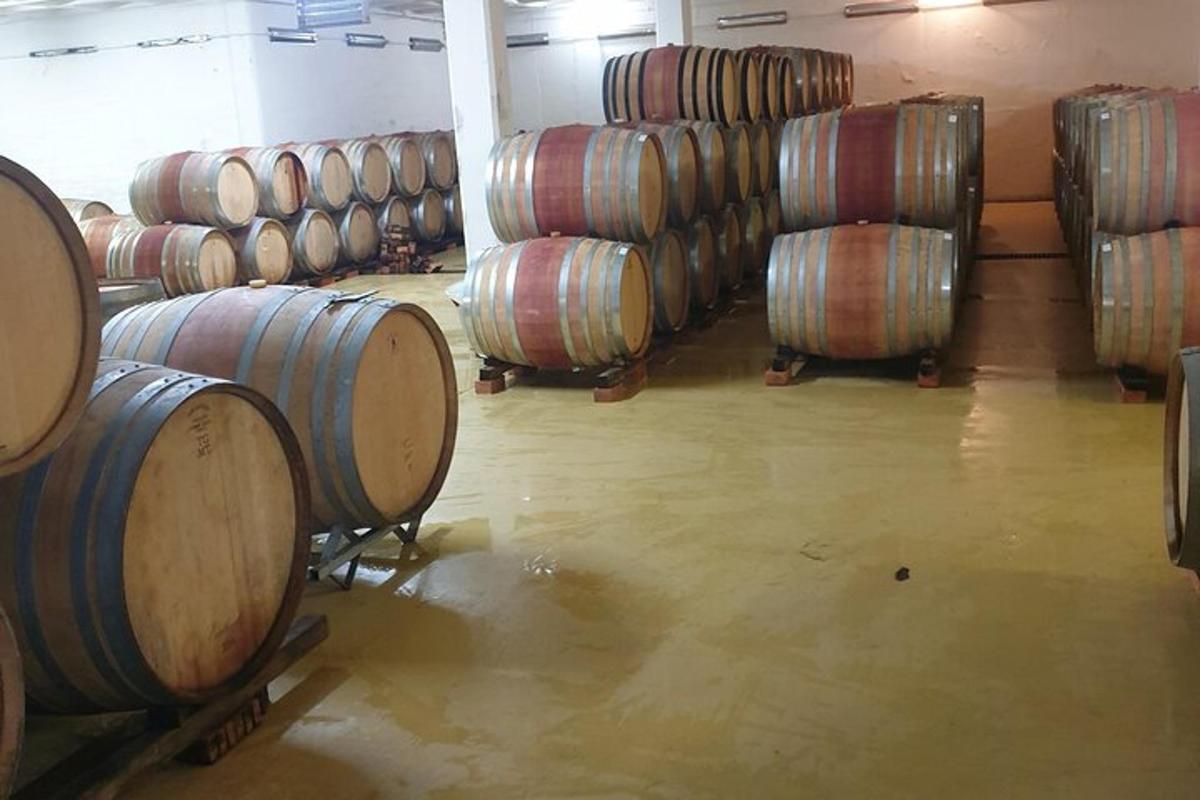 isang hilera ng mga bariles ng alak sa isang cellar