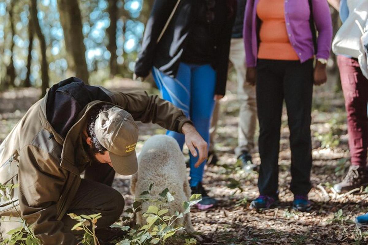 Un hombre está tocando una roca en el bosque.