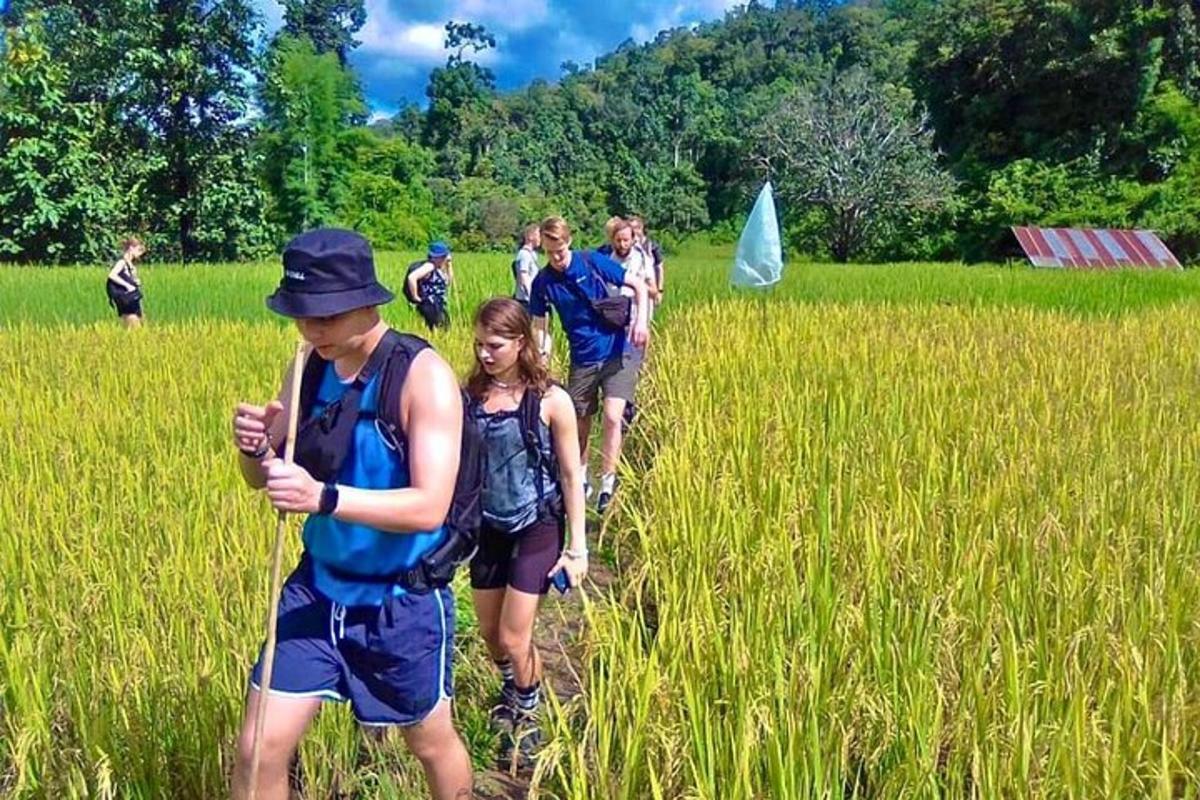 un grup de persones caminant per un camp