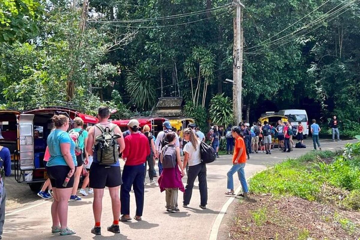 un gran grup de persones dretes a la vora d'una carretera