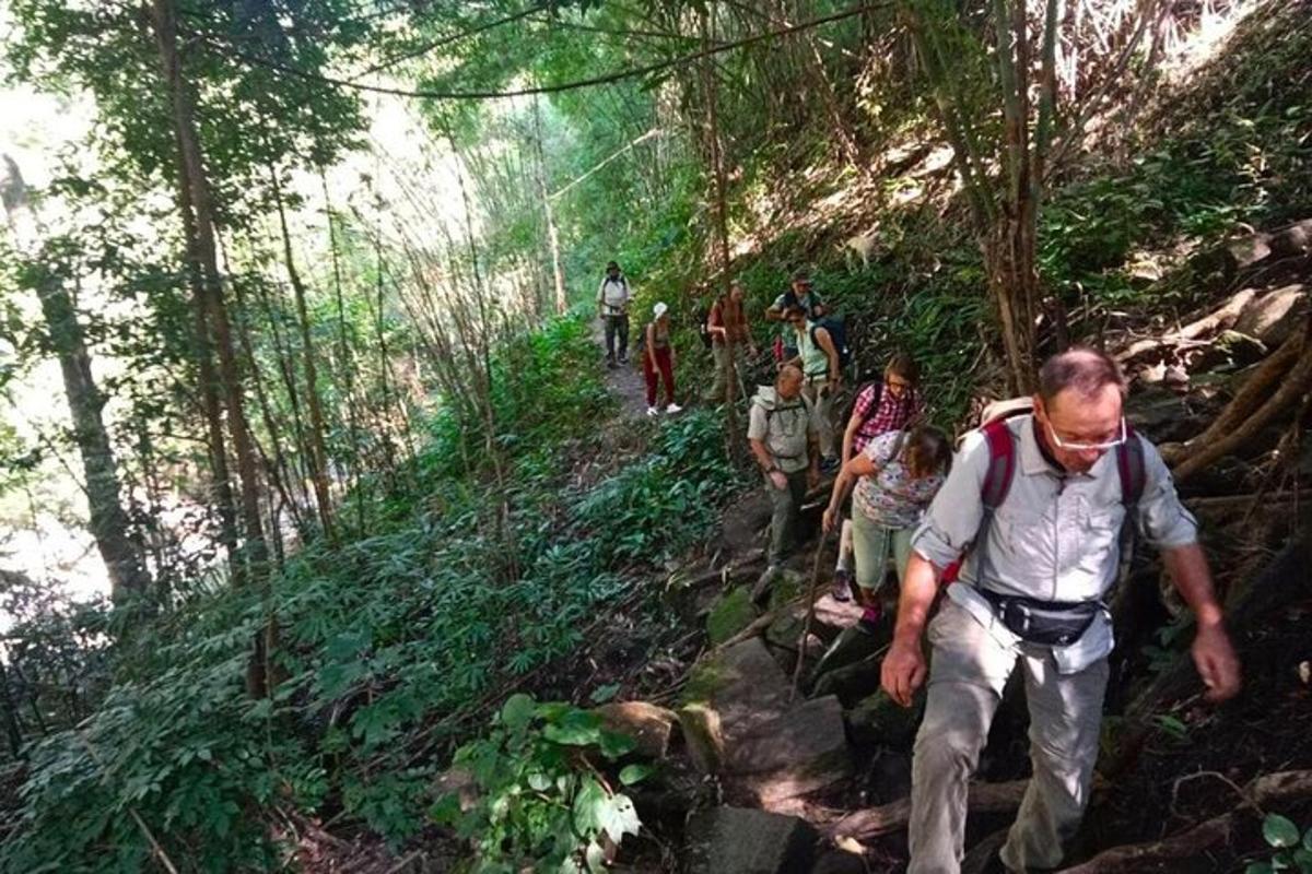 un grup de persones caminant per un sender al bosc