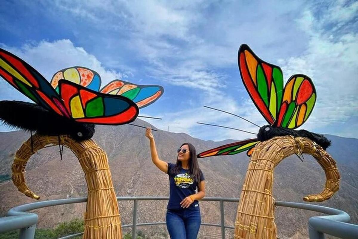a woman holding a butterfly kite on top of a mountain