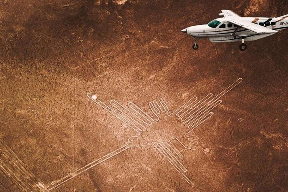 Un avión volando sobre un campo con una huella de mano.