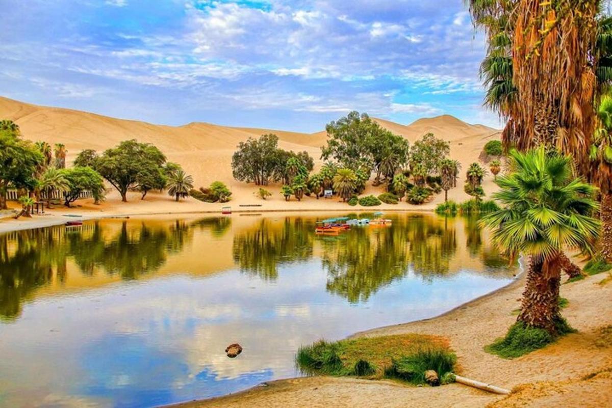 Un cuerpo de agua en el desierto con una palmera.
