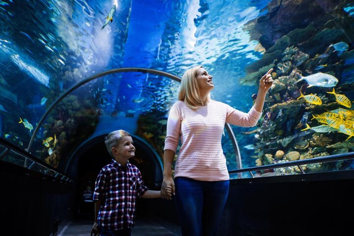 Photo de l’attraction numéro 1.