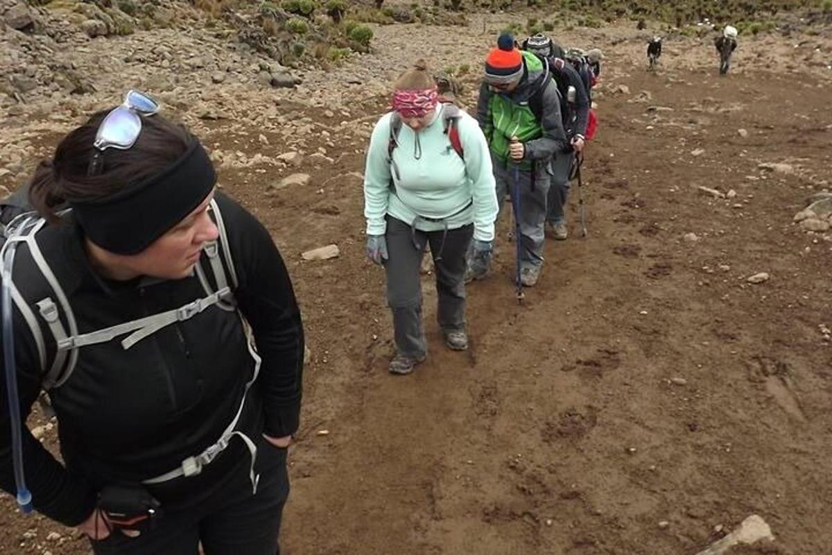a group of people walking down a dirt trail
