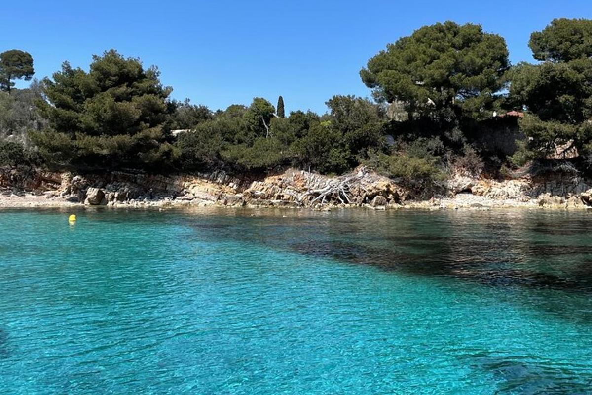 un grande specchio d'acqua con alberi sullo sfondo