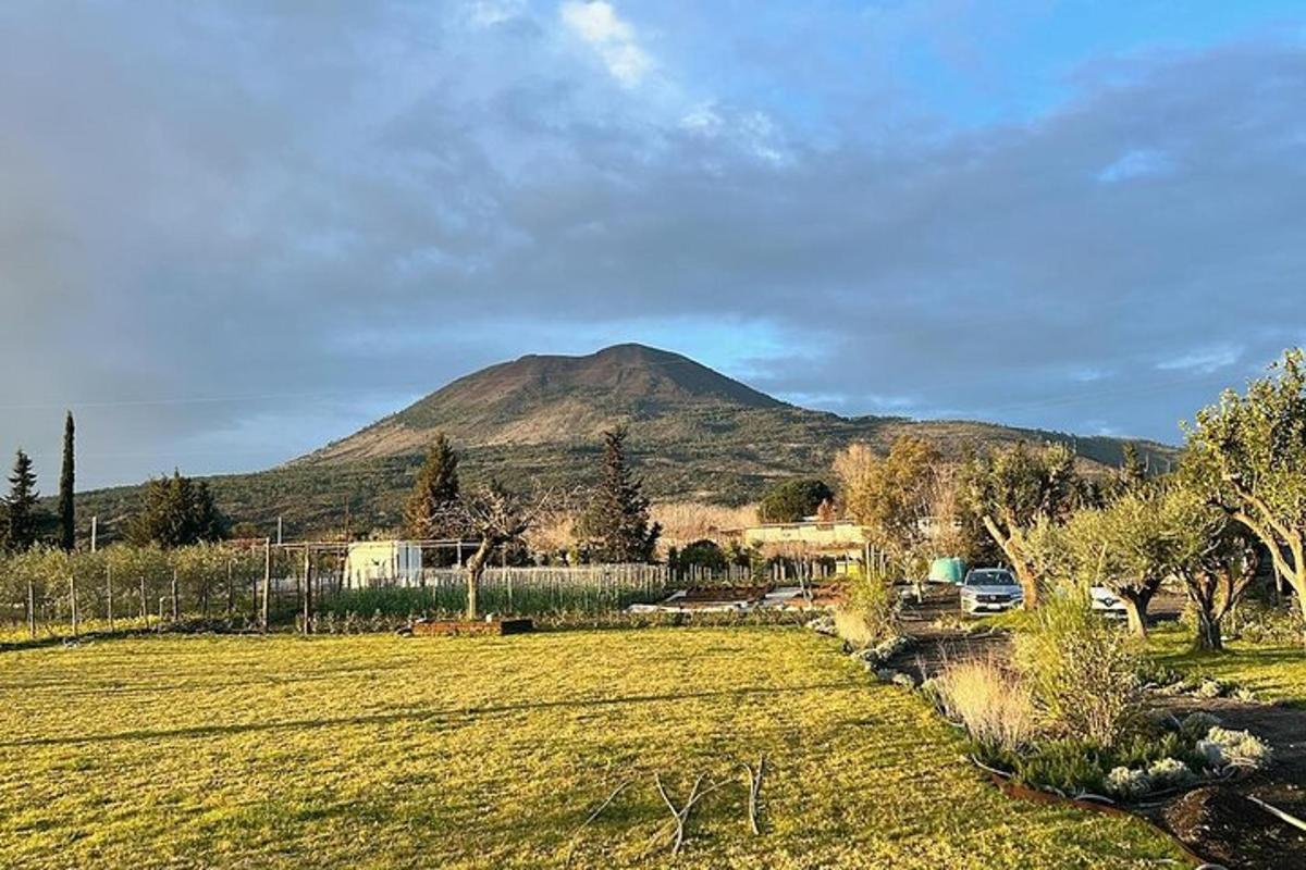uma montanha ao longe com um campo e uma colina