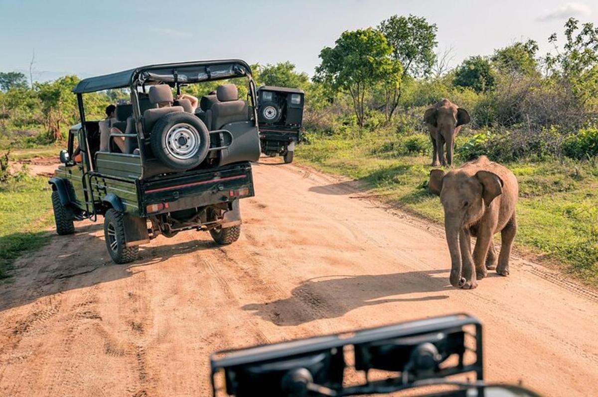 một con voi đang đi bộ trên một con đường đất bên cạnh một chiếc xe jeep và một con voi đang đi bộ