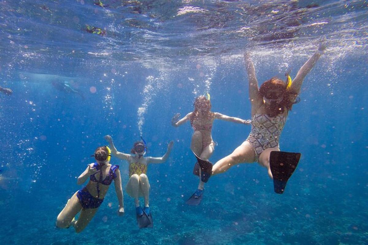 un grupo de personas nadando en el agua