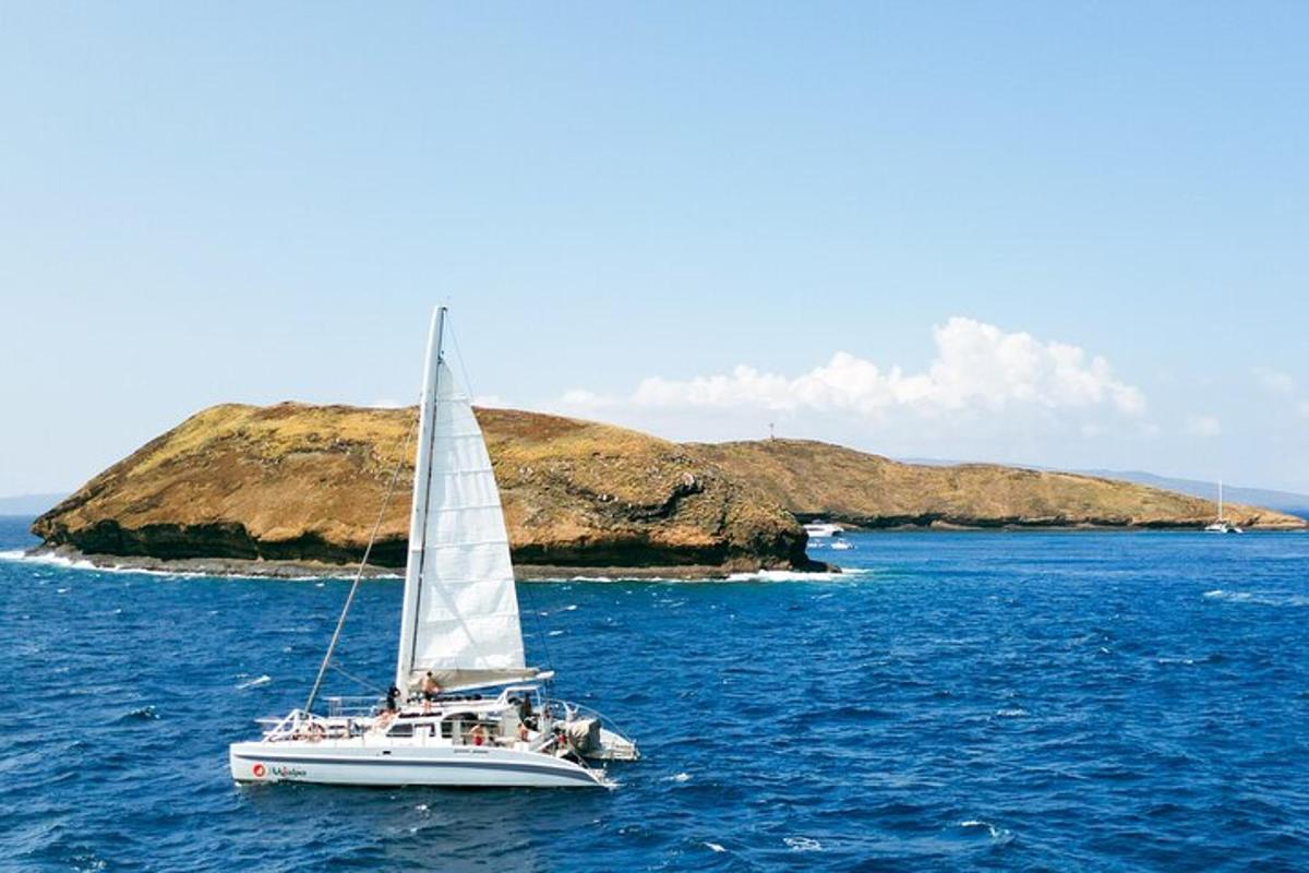 een zeilboot in het water met een klein eilandje