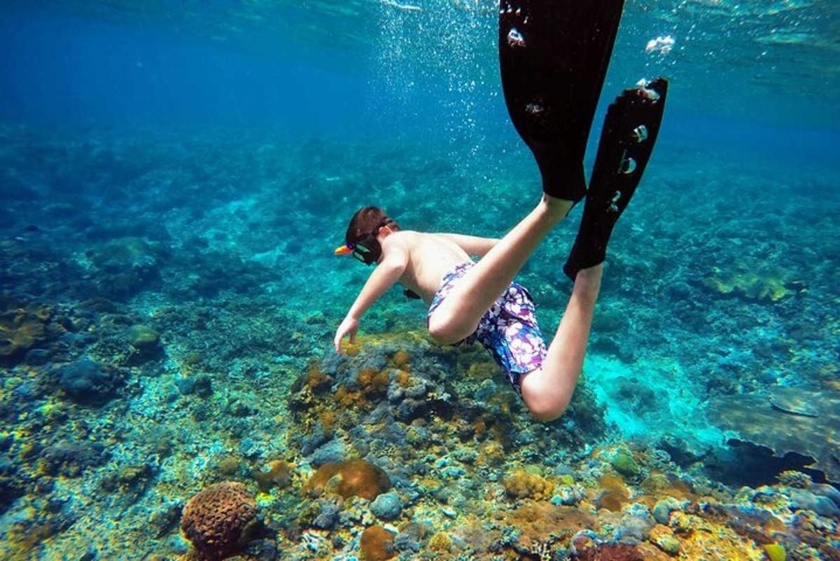a person swimming in the water in the ocean