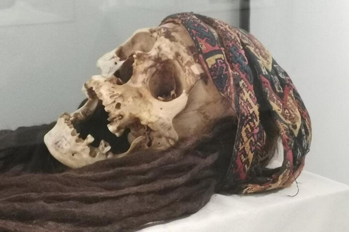 un teschio con un cappello sopra un tavolo