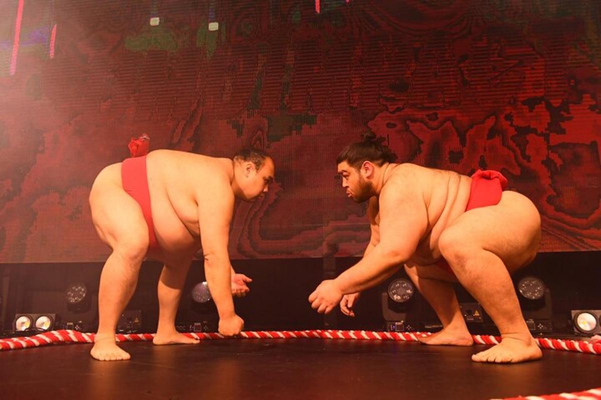 two men in bathing suits standing in a wrestling ring