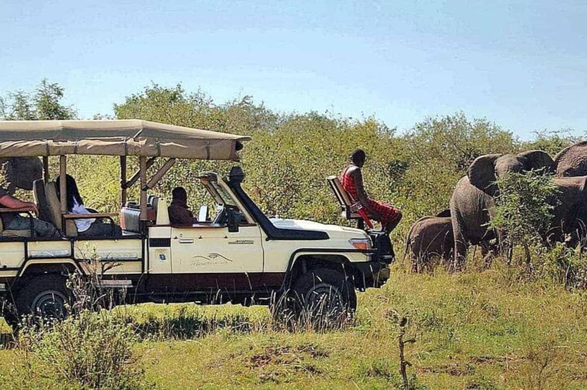 grupp inimesi safariautos koos elevantidega