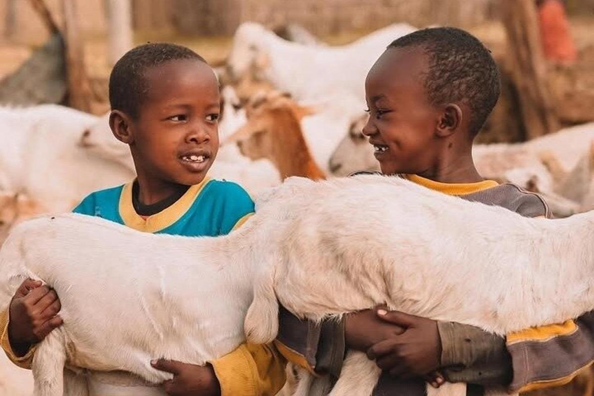Dos niños pequeños sosteniendo una cabra en un rebaño de vacas