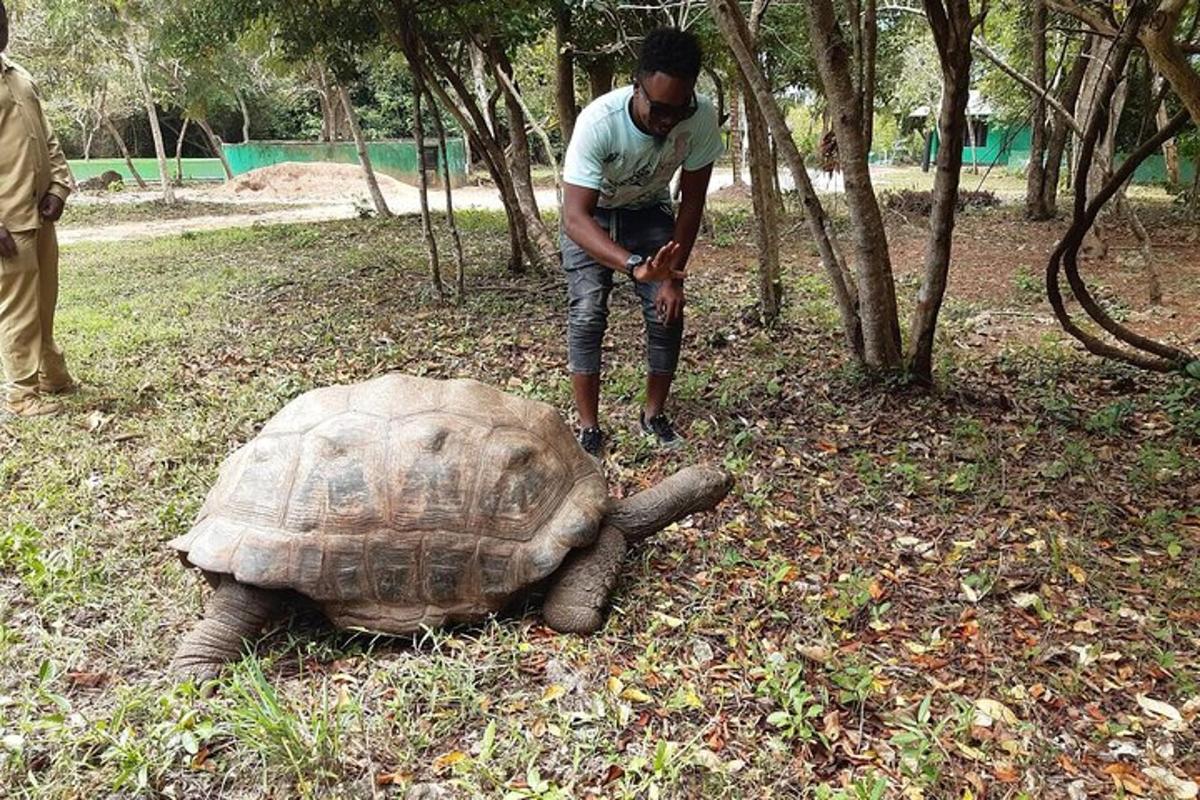 Un hombre de pie junto a una gran tortuga