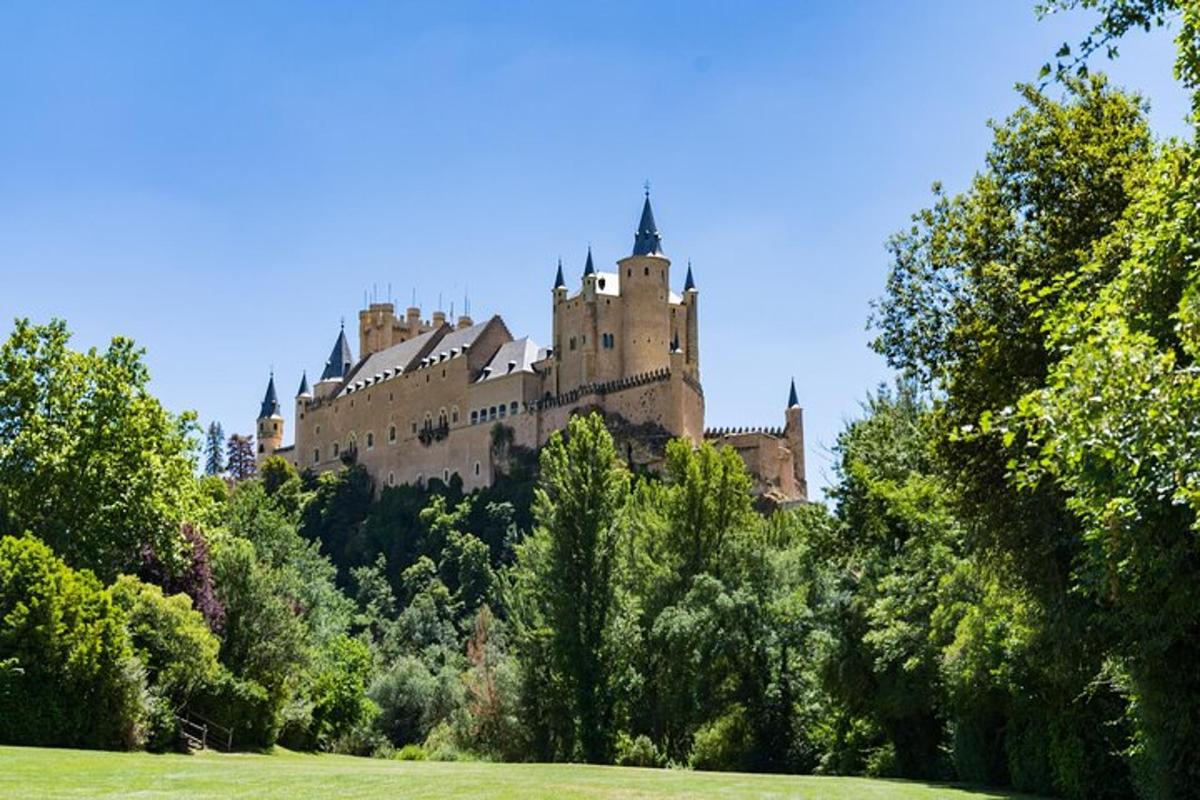 a castle on top of a hill with trees