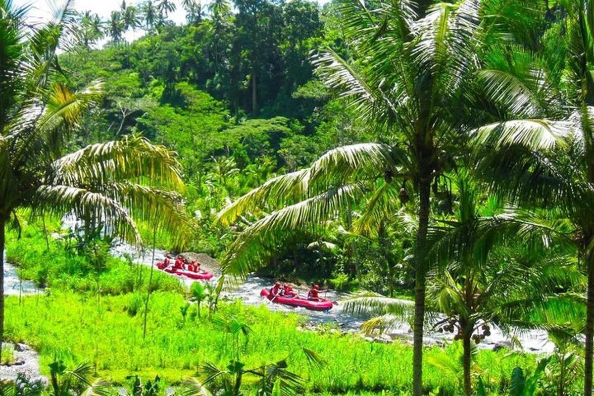 sekumpulan bot merah di sungai dengan pokok palma