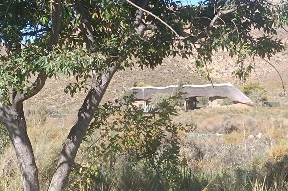 un vecchio edificio in mezzo a un campo