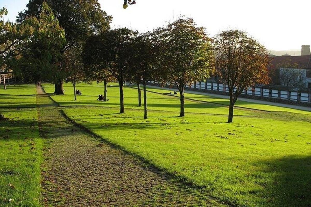 Un parque con árboles y un camino en el césped.