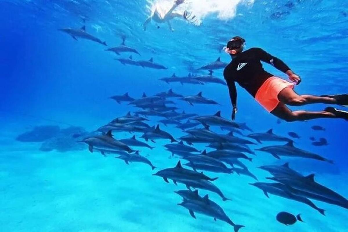 un uomo che nuota nell'oceano con una mandria di squali