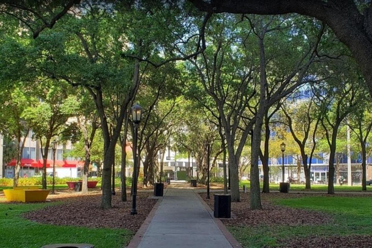 a park with trees and a sidewalk with trash cans