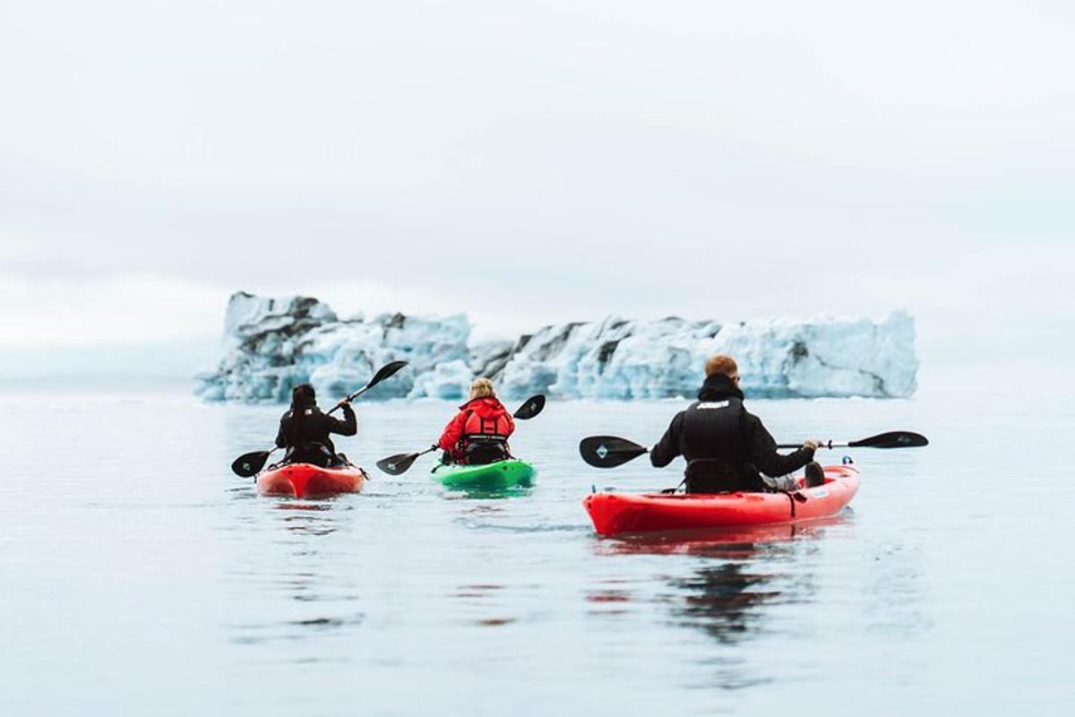 a group of people kayaking on the water