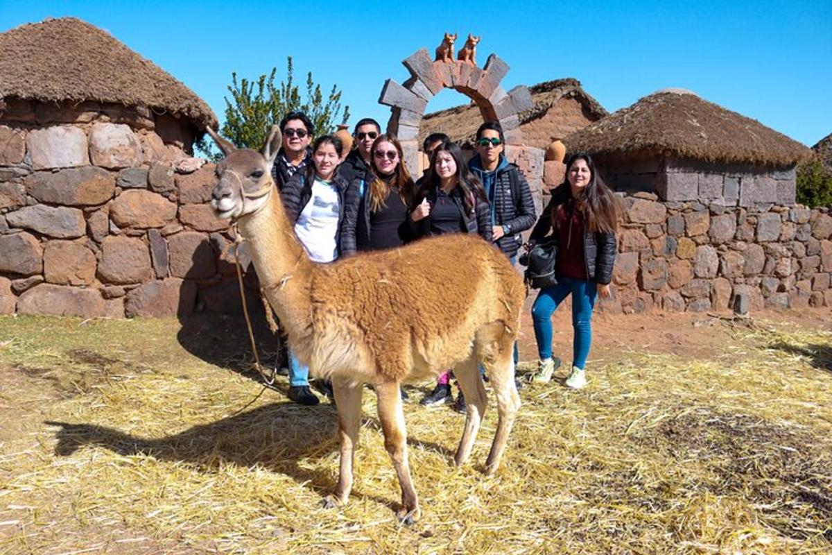 a group of people standing next to a llama