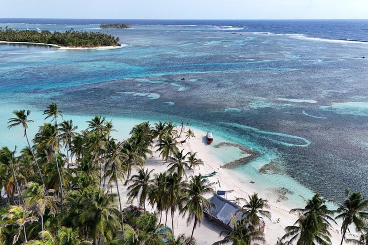 una vista aerea di una spiaggia con palme e l'oceano