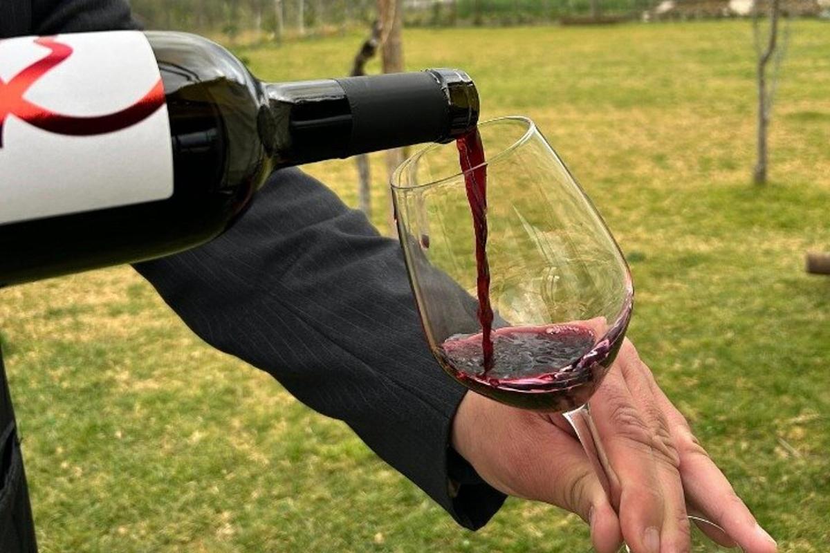 uma garrafa de vinho sendo despejada em uma taça de vinho