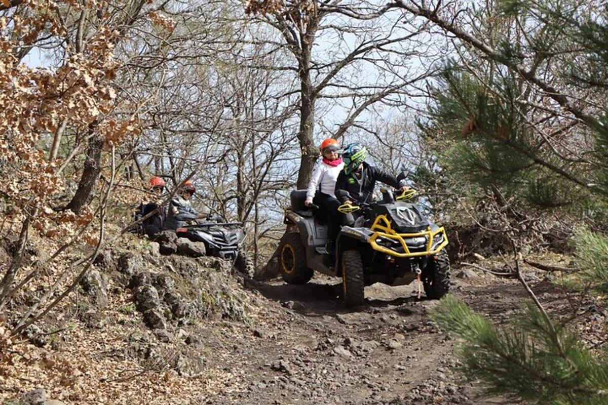 a group of people riding on a atv on a trail
