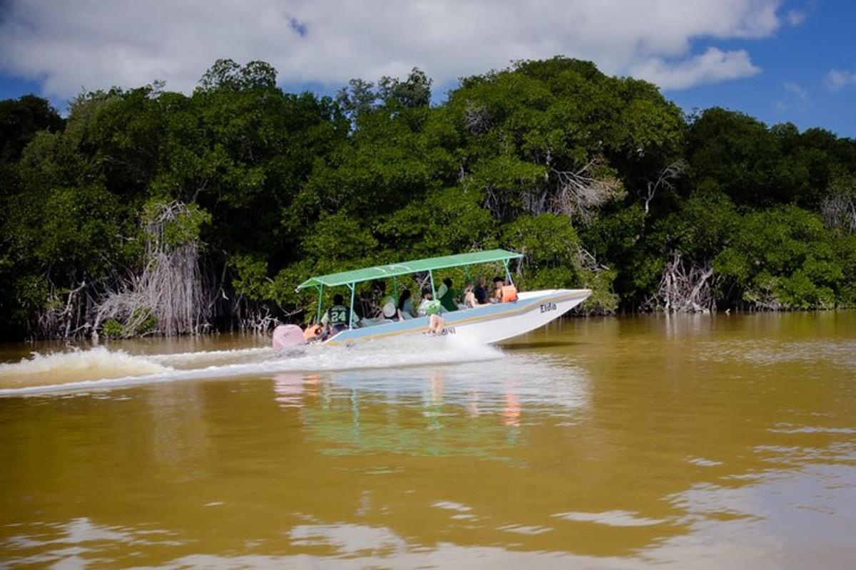 sekumpulan orang dalam bot di sungai