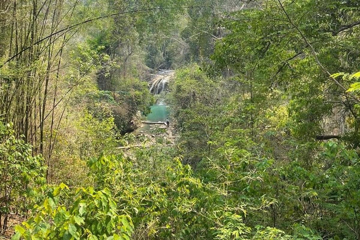 pemandangan sungai di tengah-tengah hutan