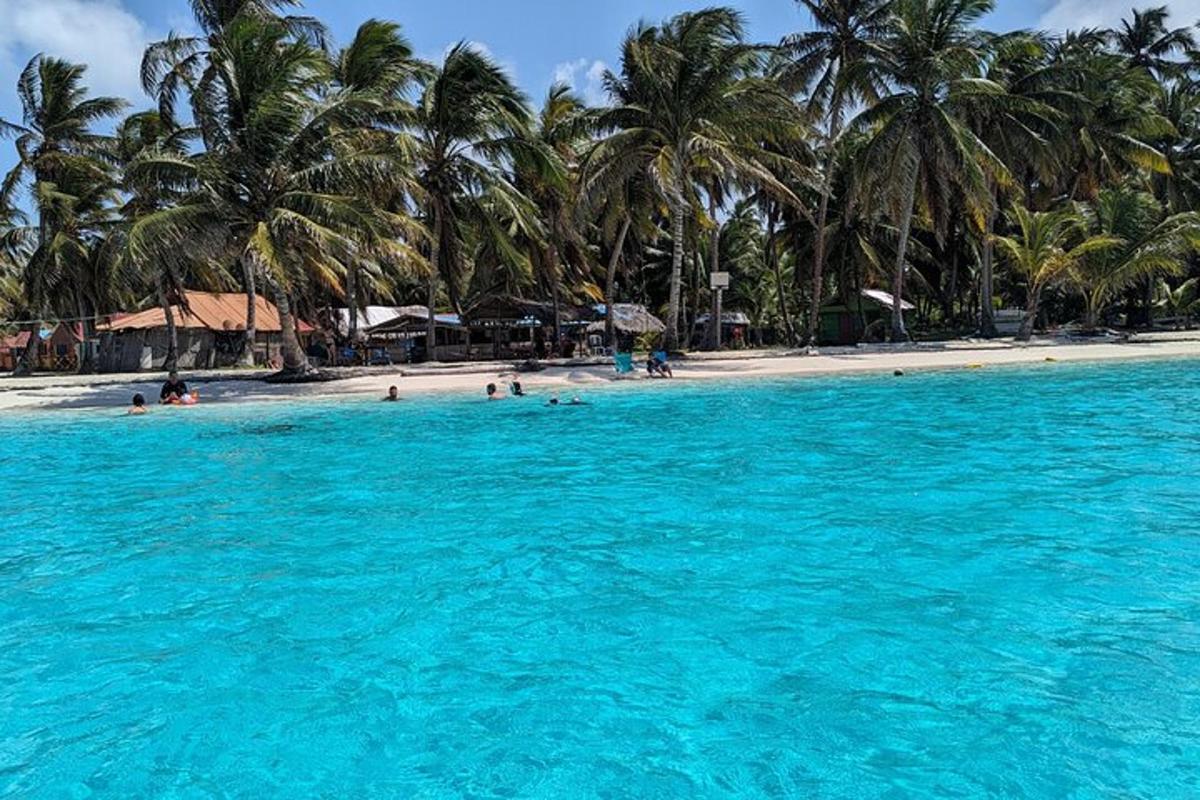 plaża z palmami i ludźmi w wodzie