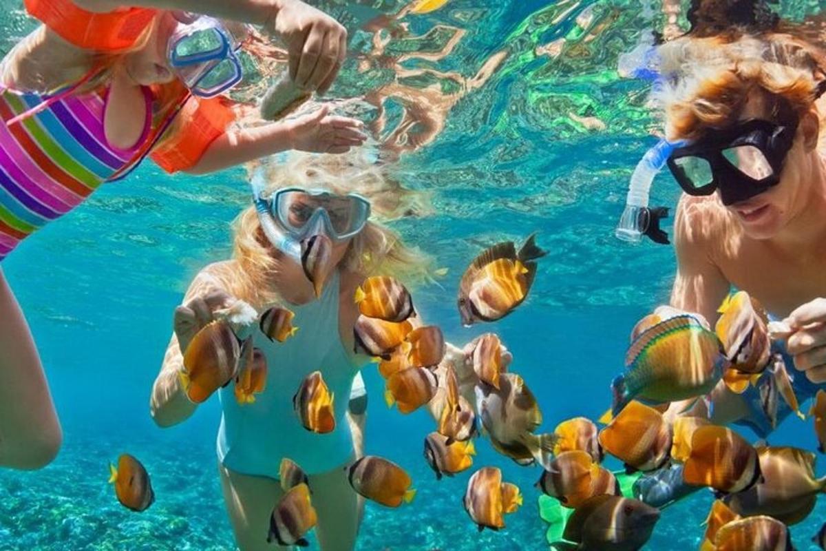 een groep mensen in het water met vissen