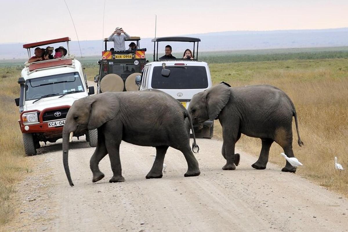 two elephants crossing a dirt road in front of a vehicle