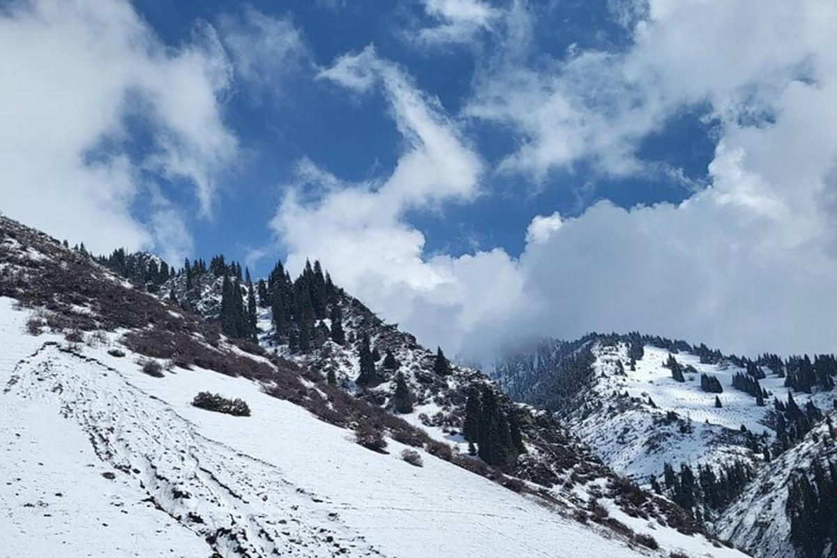 uma montanha coberta de neve com árvores e um céu azul