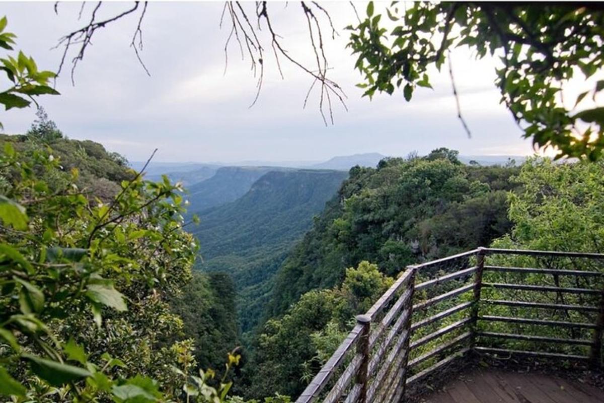 una vista delle montagne Blue Ridge da una piattaforma panoramica