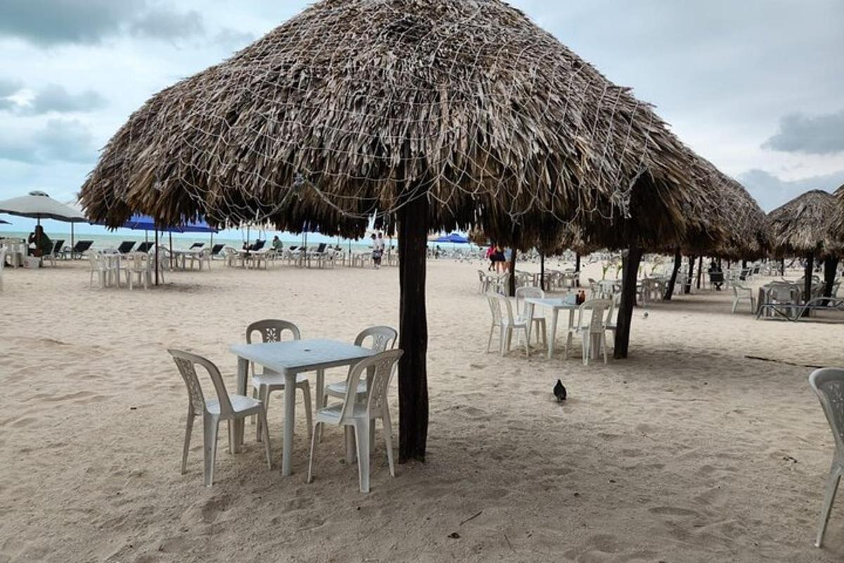 stůl a židle pod slaměným slunečníkem na pláži