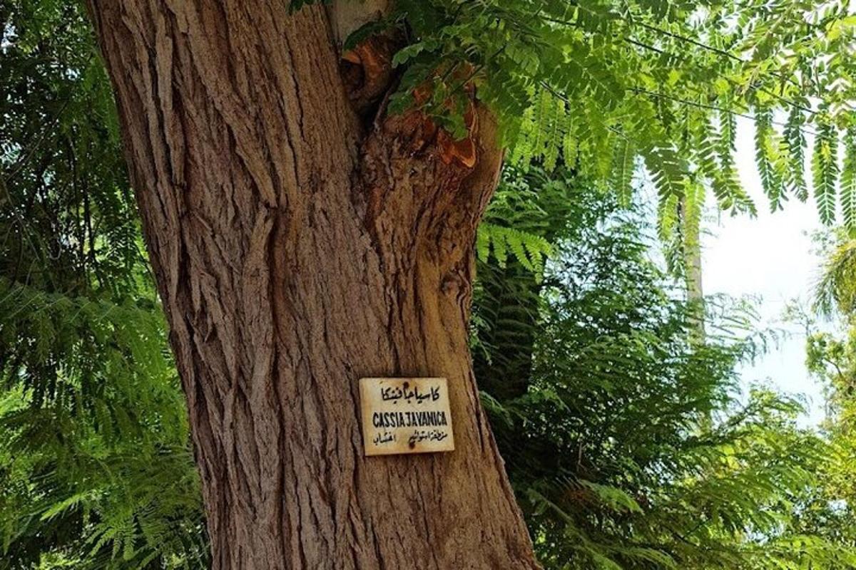 ein Schild an der Seite eines Baumes