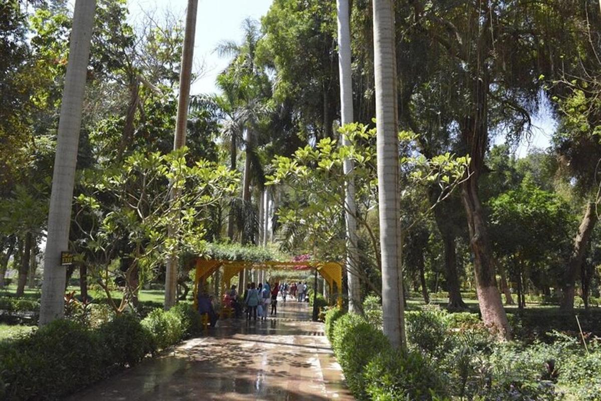eine Gruppe von Menschen, die einen Weg in einem Park entlanggehen