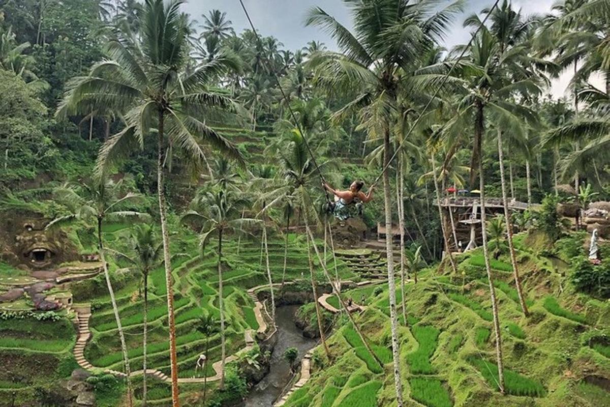 một người đàn ông treo cổ trên cây cọ trong rừng rậm