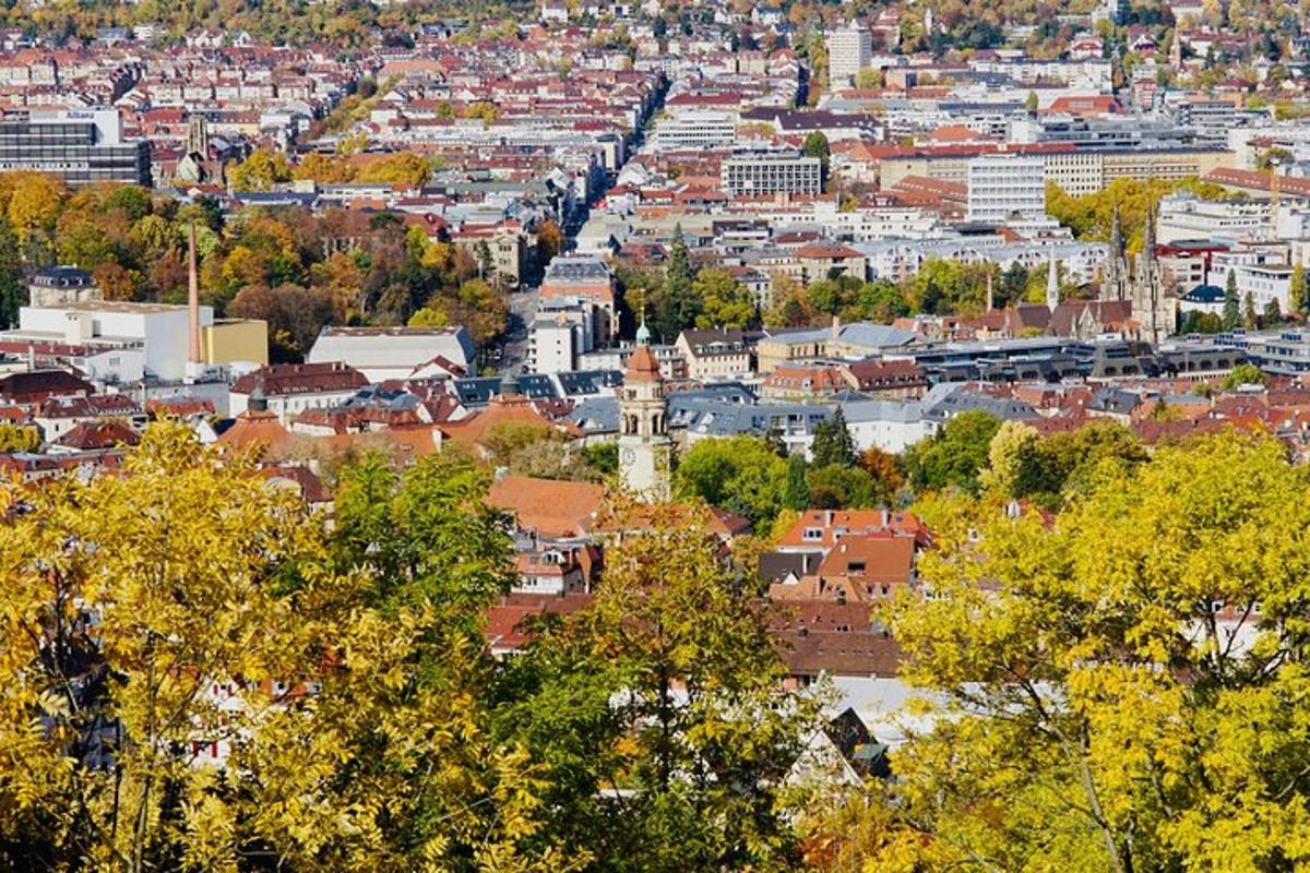 eine Draufsicht auf eine Stadt mit Bäumen und Gebäuden
