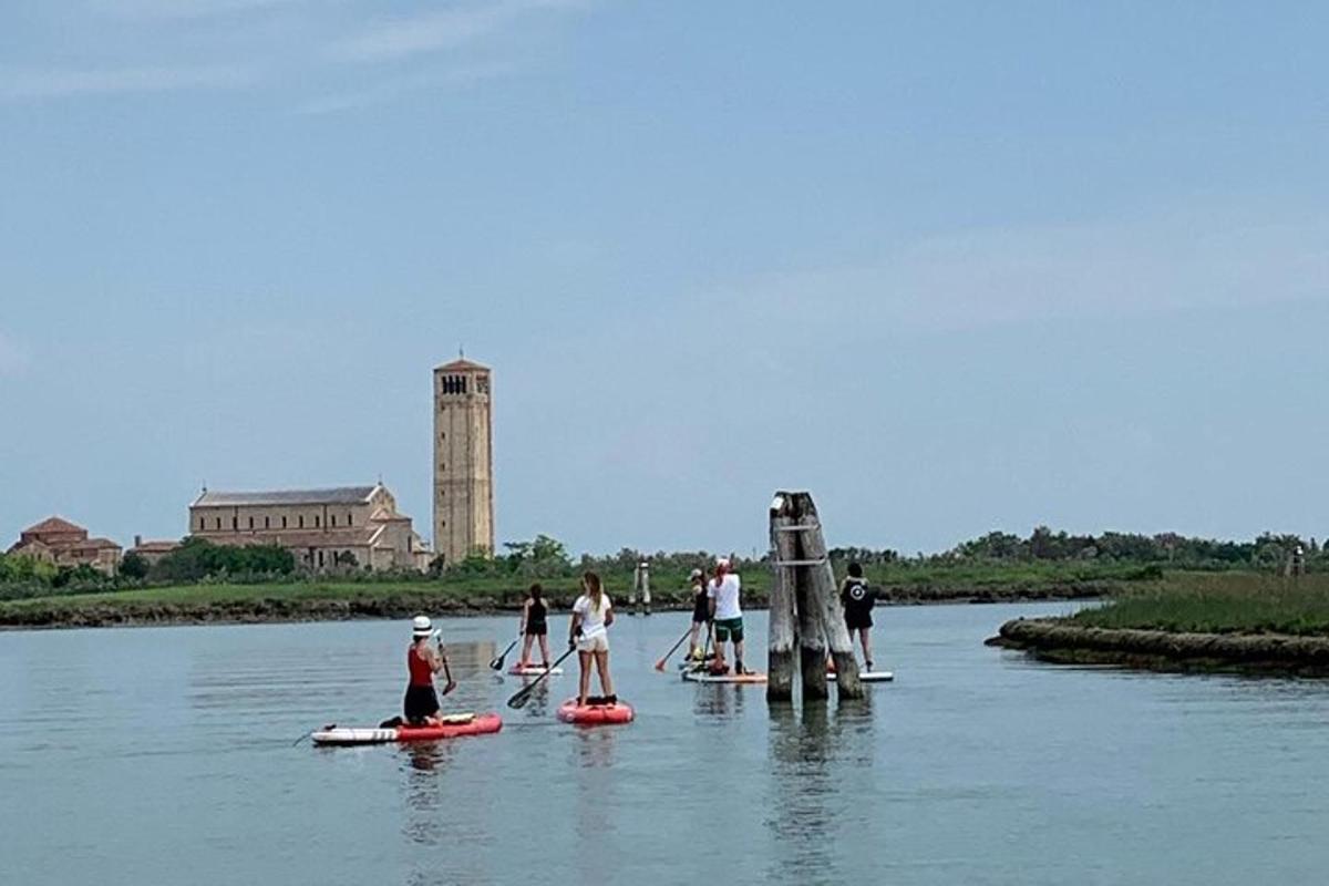 skupina lidí na paddleboardech ve vodě