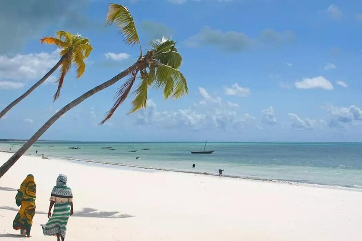 dua orang berjalan di pantai dengan pohon palem