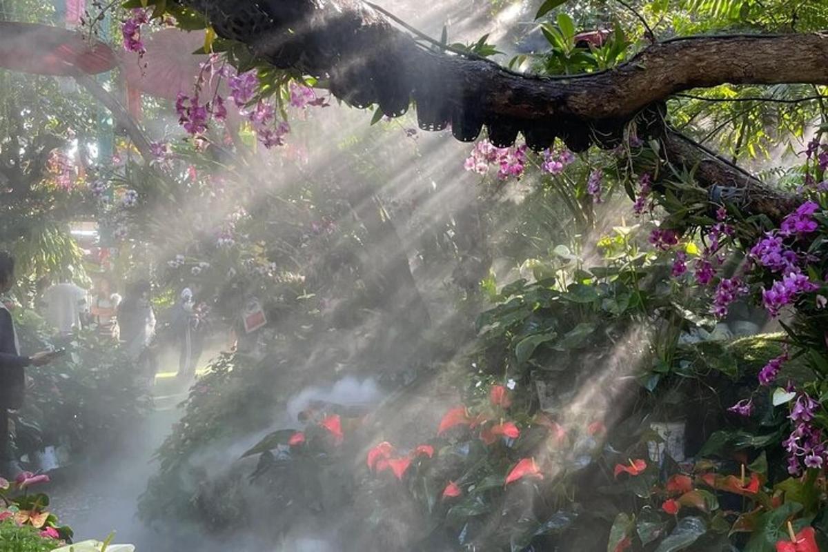 a garden with a sprinkler system spraying flowers