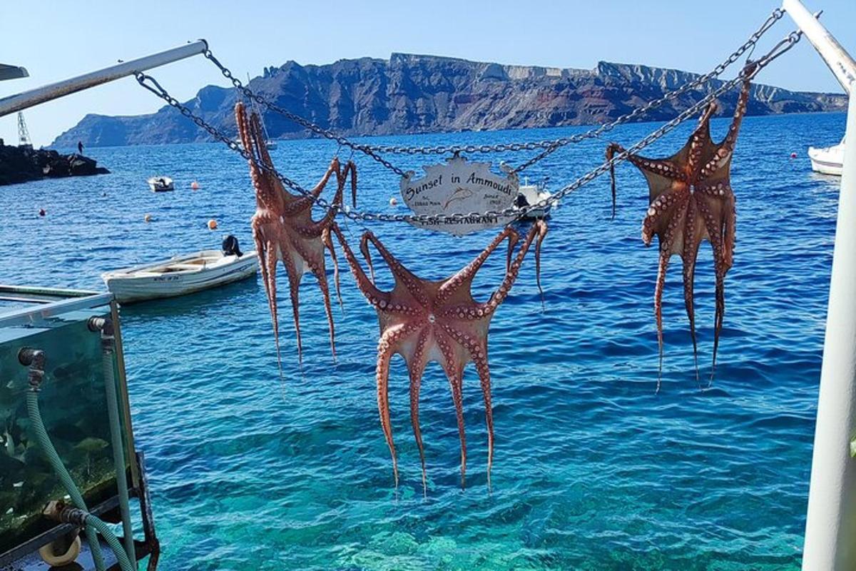 un gruppo di stelle marine appese a una barca in acqua