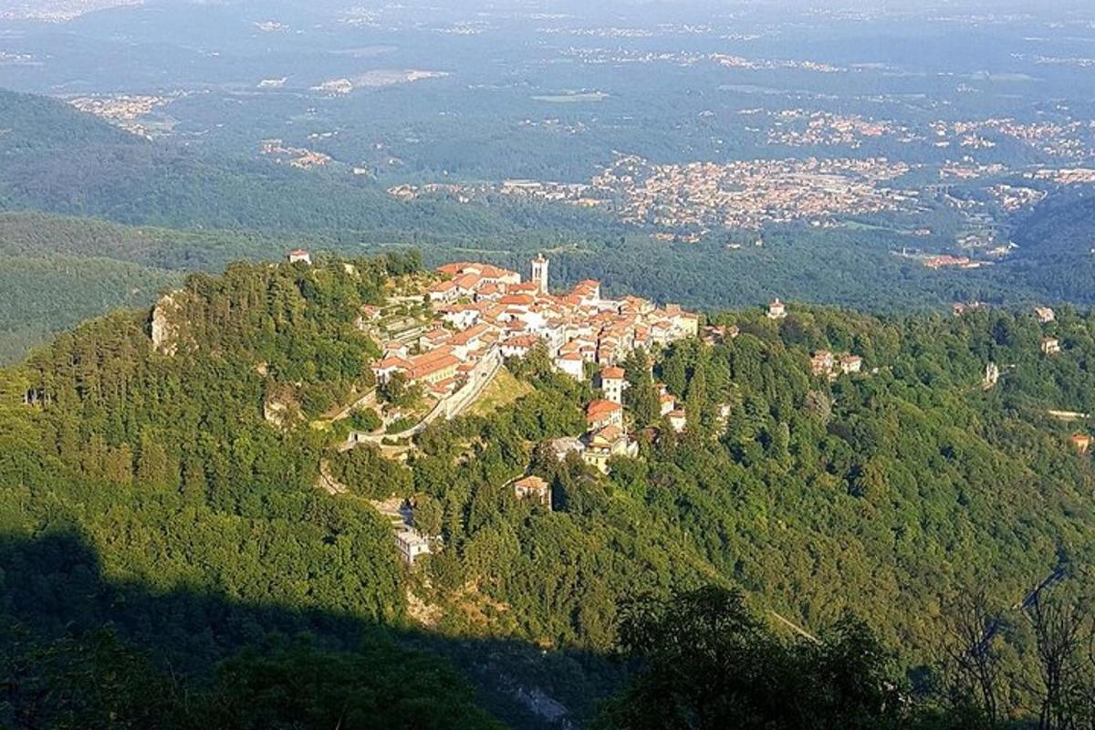 mesto na vrhu hriba z drevesi