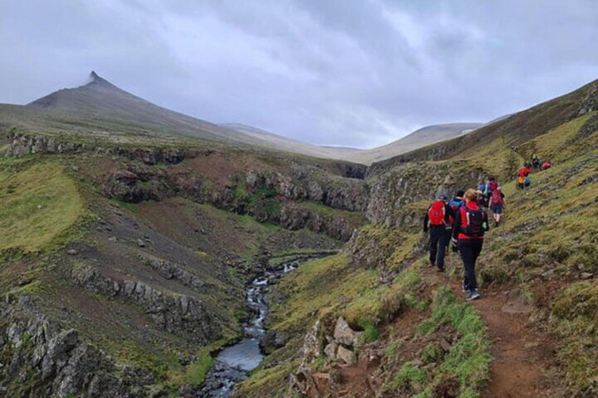 hópur fólks sem gengur á fjallslóð